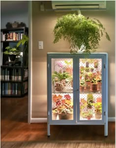 a glass cabinet with plants inside of it