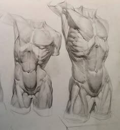 two drawings of the torso and back of a man's body, one showing his muscles