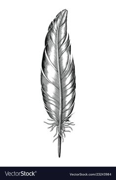 a black and white drawing of a feather