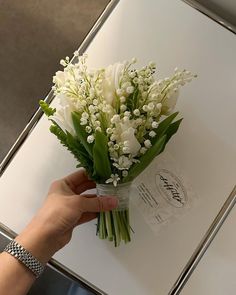 a hand holding a bouquet of white flowers