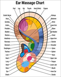 Ear Reflexology, Ear Massage, Hand Reflexology, Diagram Chart, Reflexology Massage, Foot Reflexology, Shiatsu Massage, Sciatic Nerve