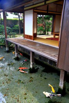 #koi #japan #pond Kolam Koi, Quotes Pics, Pictures Quotes, Fish Ponds, Japanese Architecture, Fish Pond, Japan Design, Koi Pond, The Pond