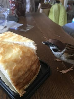 a small bird sitting on top of a wooden table next to a loaf of bread