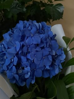 a bouquet of blue flowers sitting on top of a table