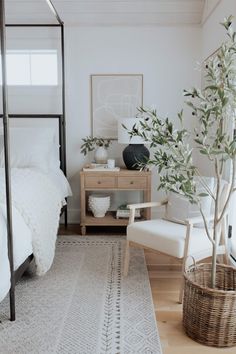 a bedroom with a bed, chair and potted plant in the corner next to it