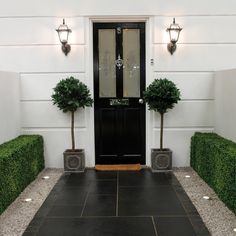 a black door with two potted plants in front of it