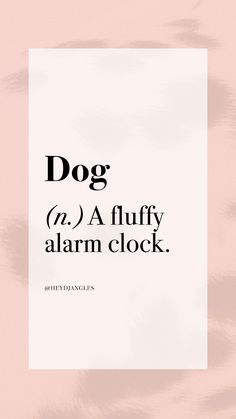 a poster with the words dog and a fluffy alarm clock in black on a pink background