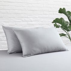 two pillows and a plant in front of a white brick wall