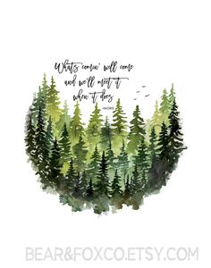 a forest filled with lots of trees and a quote that says, what's your wild