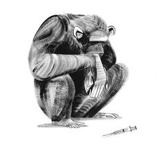 a drawing of a monkey sitting on the ground