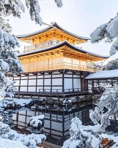 the golden building is surrounded by snow covered trees