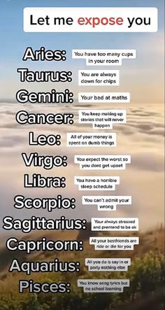 Birth Month Symbols, Gemini Zodiac Quotes, Sagittarius Quotes, Capricorn Life, Zodiac Signs Chart