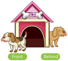 two dogs standing in front of their kennel with the word'd'on it