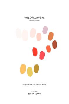 the cover of wildflowers color scheme for creative minds by ellen commee