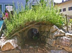 an outdoor area with rocks and plants growing out of the hole in the ground, while people look on