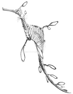 a drawing of a bird with scissors in it's beak and legs, flying through the air