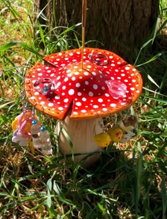 a red and white mushroom sitting in the grass