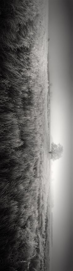 a black and white photo of the ocean