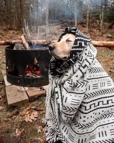 a dog wrapped in a blanket sitting next to an open fire pit on the ground