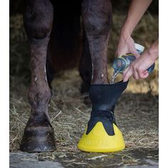 a person is using a horse's hoof to drink water from a bottle