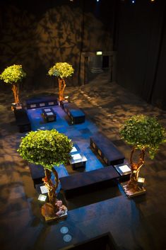 bonsai trees are displayed in the dark room