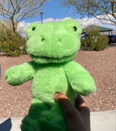 a person holding a green teddy bear in their hand