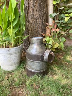 two metal containers sitting next to a tree in the grass with plants growing out of them