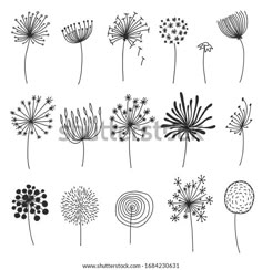 the dandelions are drawn in black and white