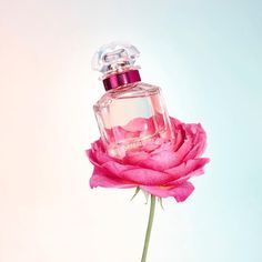 A true bouquet of femininity, radiance, passion & fulfillment. Mon Guerlain Bloom of Rose honors the majestic Bulgarian Rose adding a… Diptyque Perfume, Popular Perfumes, Bulgarian Rose, Vintage Tattoo, Luxury Perfume, Perfume Brands, Perfume Spray, Pink Rose