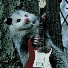 a ferret playing guitar in front of a tree with an electric guitar attached to it