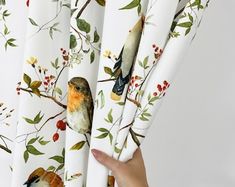 a hand is opening the curtains to show a bird on a branch with berries and leaves