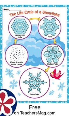 the life cycle of a snowflake is shown in this printable activity sheet