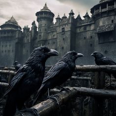 two black crows sitting on top of a wooden fence in front of an old castle