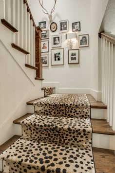 a set of stairs with pictures on the wall above and below them, along with an animal print rug