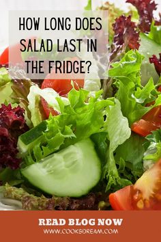 a salad with lettuce, tomatoes and cucumbers in it is featured on the cover of cookbook how long does salad last in the fridge?