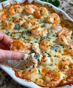 a person is dipping some food into a casserole dish with shrimp and cheese