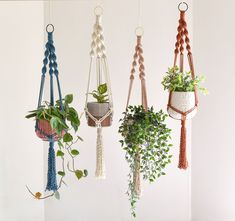 several hanging planters with plants in them