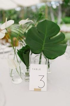 there are two vases with plants in them and a table number on the side