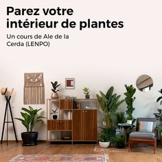 a living room filled with lots of plants