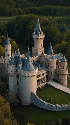 an aerial view of a castle surrounded by trees