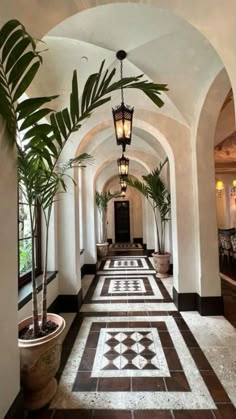 the hallway is lined with potted plants and decorative floor tiles, along with an arched ceiling