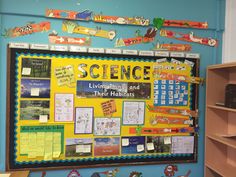 a bulletin board with writing and pictures on it in a classroom setting that is decorated with children's books