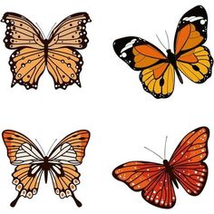 four different types of butterflies on a white background, each with orange and black wings