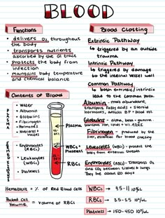 Struktur Teks, Vet Medicine, Nurse Study Notes, Nursing Student Tips, Medical Student Study