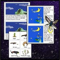 an insect life cycle worksheet with pictures and words to help students understand what insects are