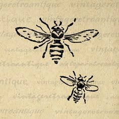 two bees on top of each other with words written below them in black ink and white paper