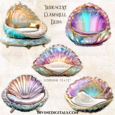 four seashells with different colors and designs