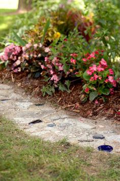 flowers are growing along the edge of a garden path