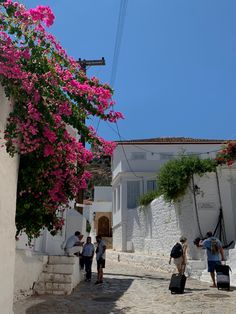 some people are walking down the street with their suitcases and flowers in front of them