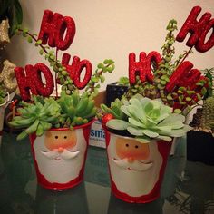 two red and white pots with succulents in them sitting on a table